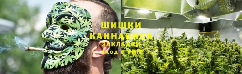 где продают   Ясногорск  Каннабис планчик 